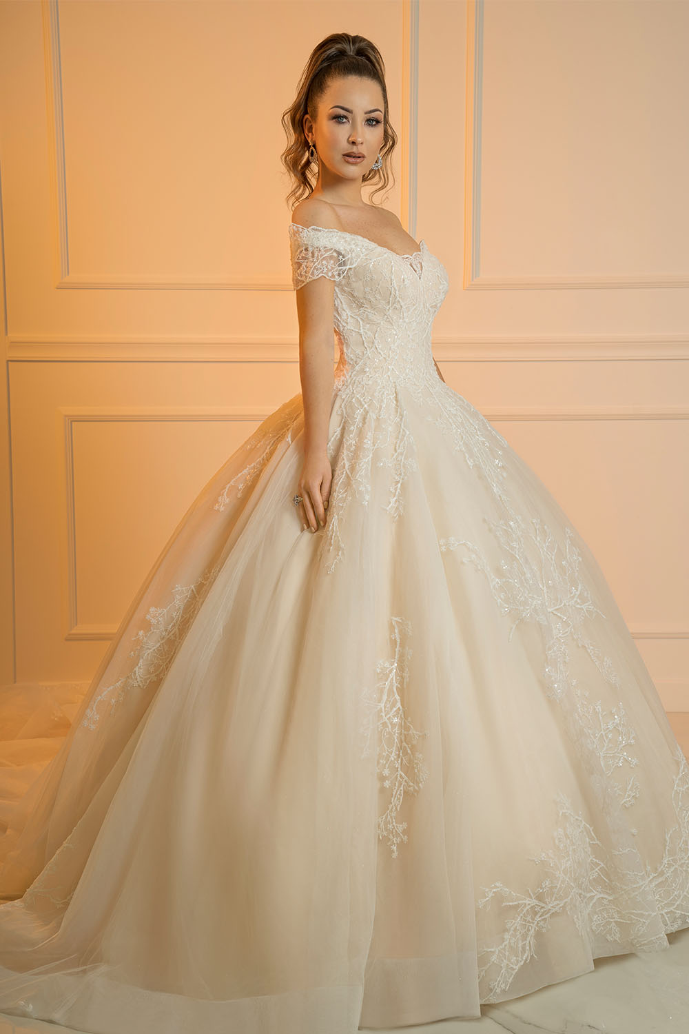 Robe de mariée princesse